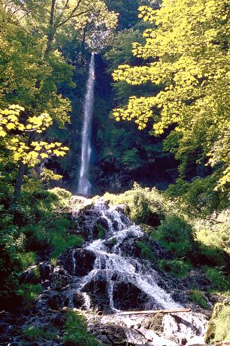 Uracher Wasserfall Blick auf einen zweigeteilten, von Wald umgebenen Wasserfall. Im Hintergrund stürzt das Wasser aus großer Höhe hinab, im Vordergrund fließt es über mehrere, treppenartig aufgebaute flache Stufen weiter.
