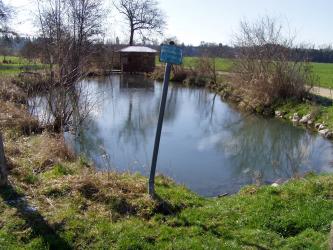Die Warme Quelle entspringt bei Munderkingen im Donautal. Sie ist durch eine erhöhte Austrittstemperatur gekennzeichnet Blick auf ein kleines Gewässer mit nur leicht erhöhtem Uferrand. Das Ufer ist teils mit Gebüsch bewachsen. Am hinteren Ende des Gewässers steht ein Unterstand.