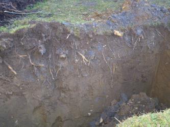 Das Bild zeigt in Nahaufnahme ein mehrere Meter großes Loch umgeben von Gras mit senkrechten Wänden in der Schrägansicht. An den Wänden des Lochs ist brauner Boden zu erkennen. Direkt unterhalb der Grasnarbe sind viele Wurzeln vorhanden.