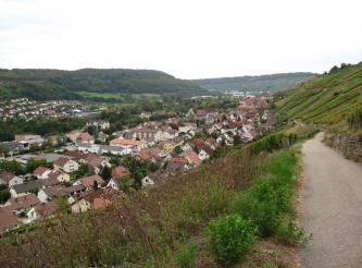 Kochertal bei Ingelfingen Blick von einem höher gelegenen Weg auf Rebhänge rechts oben sowie eine Siedlung links unten im Tal. Im Hintergrund bewaldete Höhen.