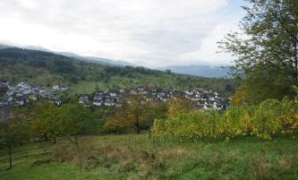 Blick in ein langgezogenes, von steilen Hängen umgebenes Tal. Am nach rechts aufsteigenden Hang im Vordergrund stehen Rebstöcke. Der Hang im Hintergrund ist zum linken Rand hin bewaldet. Im Tal selbst liegt eine Ortschaft.