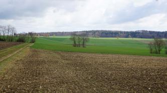 Über dunkelbraune Äcker im Vordergrund geht der Blick über welliges Gelände mit grünen Hügeln, Senken und Bauminseln. Im Hintergrund ziehen sich langgestreckte bewaldete Bergrücken hin.