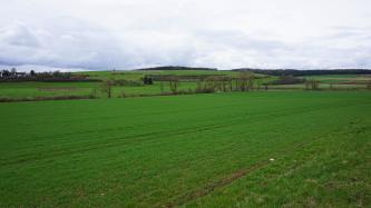 Talsohle der Egau nördlich von Dischingen mit Braunen Auenböden aus Auenlehm (o35) Blick auf eine flache grüne Wiesenlandschaft, die sich zum Mittelgrund hin leicht absenkt. Dort verläuft ein schmales, fast gerades Flussband. Im Hintergrund steigt ein flacher, auf der Kuppe bewaldeter Hügel auf.