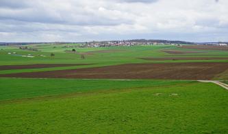 Flachkuppige Hochfläche der Riesalb bei Dischingen-Dunstelkingen Blick auf eine flachkuppige Wiesenlandschaft, die nach links hin eine leichte Senke bildet. Im Mittelgrund sowie rechts befinden sich mehrere Ackerflächen. Im Hintergrund ist eine Ortschaft zu erkennen.