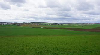 Blick über die flachkuppige Landschaft der Riesalb bei Dischingen-Eglingen nach Südwesten Das Bild zeigt eine flachkuppige Wiesenlandschaft. Im Mittelgrund verläuft eine schmale Straße; rechts davon liegen mehrere Ackerflächen. Im Hintergrund sieht man einen flachen bewaldeten Hügel sowie eine Ortschaft.