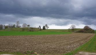 Durch den Meteoriteneinschlag zertrümmerte und verkittete Oberjura-Schollen auf der Riesalb bei Dischingen-Demmingen („Griesbuckel“) Blick auf eine höher gelegene, leicht nach links abfallende Ackerfläche, an die sich rechts und links Wiesen anschließen. Im Bildhintergrund grenzen die Flächen an flache Hügel mit Felsbildungen sowie Bauminseln.