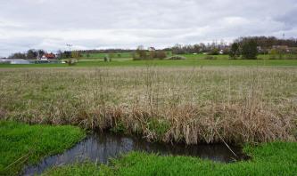 Niedermoor in der Egauaue südlich von Dischingen (o56) Blick auf eine Moorfläche mit Riedgras und Wasseraustritt im Vordergrund. Im Hintergrund ist eine ansteigende Landschaft mit flachen Hügeln erkennbar. Auf einem der Hügel steht ein Schloss.