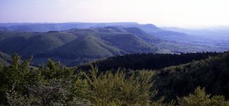 Weiter Blick über Wälder auf zum Horizont hin gestaffelte, bewaldete Berg- und Hügelrücken.