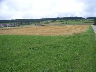 Auf eine flache Wiese im Vordergrund folgen hellbraune Stroh- und Getreidefelder. Im Hintergrund langgestreckte Hügel mit bewaldeten Kuppen. Links liegt eine Ortschaft.