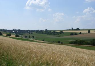 Blick über flach geneigte, teils grüne, teils landwirtschaftlich genutzte Hänge, die in der Bildmitte ein Muldental bilden. Im Vordergrund ein Getreidefeld, das nach rechts hin abfällt.