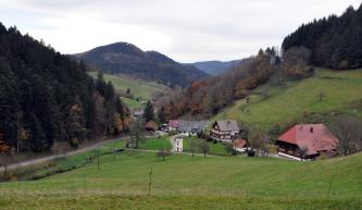 Blick von hochgelegenen Wiesen hinab in ein enges Schwarzwaldtal mit links und rechts aufsteigenden, teils bewaldeten Berghängen. In der Talmitte liegt eine kleine, einer kurvigen Straße folgende Ortschaft. Im Hintergrund sind weitere bewaldete Berge.