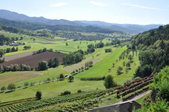 Blick von erhöhtem Standort über abwärts fließende, nach links gerichtete Hänge mit Wald, Rebstöcken, Wiesen, Bäumen und Äckern. Im Hintergrund befinden sich eine Ortschaft sowie nach links aufsteigende, bewaldete Berge.