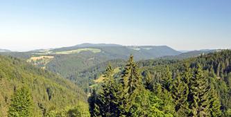 Aussicht über die Spitzen von Nadelbäumen auf mehrere Gipfel von Schwarzwaldbergen, die nach links und rechts aufsteigen. Der lange, flache Berg in der Bildmitte zeigt neben Bewaldung auch freie Hochflächen. Auf einer davon verteilen sich Windräder.