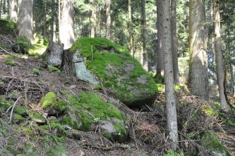 Blick auf zwei Gesteinsblöcke, die auf einem nach links ansteigenden Waldhang liegen. Der vordere Block liegt halb in der Erde, der hintere liegt frei. Beide sind von Moos bewachsen.