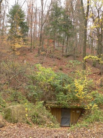 Silber- und Vitriolbergwerk Grube Anna-Elisabeth bei Schriesheim Unterhalb eines bewaldeten und mit Laub bedeckten Hanges liegt der Eingang zu einem ehemaligen Bergwerk. Der Eingang ist mit Brettern und einer Gittertür gesichert, das Betreten ist verboten.