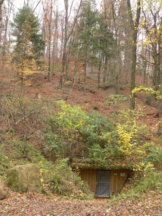 Unterhalb eines bewaldeten und mit Laub bedeckten Hanges liegt der Eingang zu einem ehemaligen Bergwerk. Der Eingang ist mit Brettern und einer Gittertür gesichert, das Betreten ist verboten.