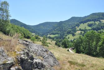 Das Bild zeigt eine nach rechts und zum Hintergrund hin abfallende ausgebleichte Wiese mit markanten Felsen im linken Vordergrund. Hinten steigen grüne und bewaldete Berghänge empor.