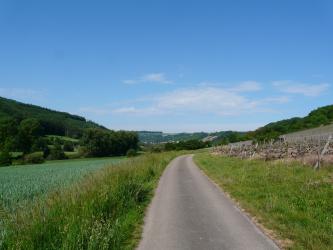 Das Bild zeigt verschiedene Arten der Landnutzung. Links ist ein Getreidefeld zu sehen, während sich rechts neben einem Fahrweg Rebstöcke zeigen. Dahinter finden sich jeweils ansteigende, bewaldete Hänge.