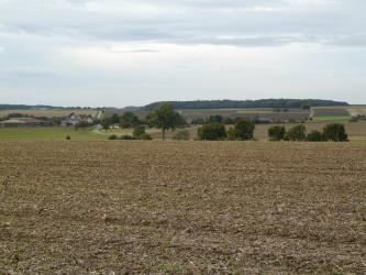 Hinter einem braunen, abgeernteten Acker und einer Reihe von einzeln stehenden Bäumen zeigt sich eine wellige, zum Horizont hin ansteigende Ebene. Eine Straße sowie ein Gehöft links trennt die Landschaft von weiteren Ackerflächen.