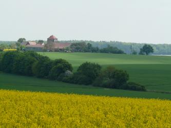 Hohenloher Ebene bei Wolpertshausen-Hörlebach Der Blick geht über ein gelbes Rapsfeld auf eine Grünfläche, die erst abfällt, zum Horizont hin wieder ansteigt. An der tiefsten Stelle verläuft ein Baumstreifen. Auf der Kuppe der Ebene stehen ebenfalls Bäume sowie links Gebäude und ein gemauerter Turm.
