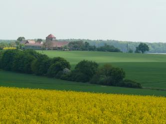 Der Blick geht über ein gelbes Rapsfeld auf eine Grünfläche, die erst abfällt, zum Horizont hin wieder ansteigt. An der tiefsten Stelle verläuft ein Baumstreifen. Auf der Kuppe der Ebene stehen ebenfalls Bäume sowie links Gebäude und ein gemauerter Turm.