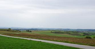 Das Bild zeigt den Kraterrand des Nördlinger Ries, eine flachwellige Landschaft mit Wiesen, Äckern und bräunlich gefärbten Hügeln.