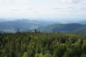 Blick über die Kronen von Nadelbäumen über Täler mit Ortschaften und bewaldete Berge. Im dunstigen Hintergrund erstreckt sich eine weite Ebene.