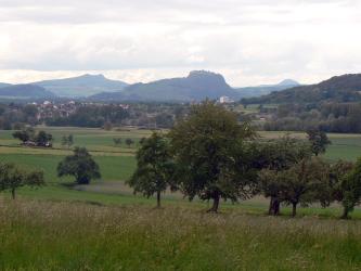 Blick über eine Wiese mit vereinzelten Bäumen auf Siedlungen und die Hegau-Vulkane.