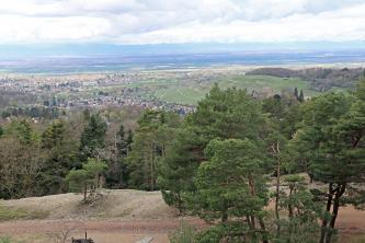 Aussicht von der Sophienruhe bei Badenweiler Blick aus größerer Höhe über eine kahle Geländeerhebung im Vordergrund. Dahinter folgt ausgedehnter Wald. Rechts im Hintergrund steht eine Burgruine, dahinter zeigt sich ein Weinberg. Links erstreckt sich eine weite, besiedelte Ebene.