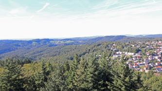 Aussicht vom Teltschikturm in nordwestliche Richtung auf Wilhelmsfeld und den Grundgebirgs-Odenwald Blick aus großer Höhe über Baumspitzen auf mehrere bewaldete Berge. Links der Bildmitte liegt eine grüne Hochfläche. Rechts, auf einem der Bergrücken, hat sich eine Siedlung ausgebreitet.
