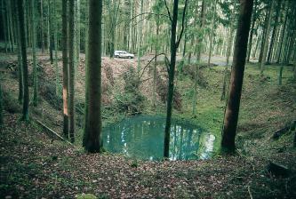 Das Bild zeigt eine trichterförmige Vertiefung mitten in einem Nadelwald, die mit dunkelgrünem Wasser gefüllt ist. Die Stämme sind schlank und hoch und stehen um den See locker, im Hintergrund dicht zusammen. Auch Unterholz und ein Fahrweg sind zu sehen.