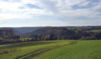 Über gefurchte und gedüngte Grünflächen im Vordergrund blickt man links auf ein bewaldetes Tal. Rechts sind oberhalb des Waldes hochliegende Grün- und Ackerflächen erkennbar.