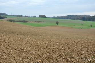 Ein nach rechts geneigter, gewellter brauner Acker breitet sich im Vordergrund aus. Im Hintergrund sind begrünte Flächen zu sehen; links zudem Gehölz. Rechts folgt ein flacher, bewaldeter Hügel.