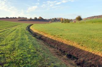 Blick über flache, nach links und rechts leicht ansteigende Grünflächen, die von vorne rechts bis zum Mittelgrund durch einen v-förmigen Graben getrennt sind. Im Hintergrund links ist eine gewölbte braune Ackerfläche erkennbar.