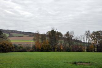 Unter einem wolkigen, grauen Himmel zeigt sich ein nach links ansteigender, auf dem Rücken bewaldeter Hang mit verschiedenen Ackerflächen. Im Vordergrund breitet sich nach einem Gehölzstreifen eine flache Wiese aus.