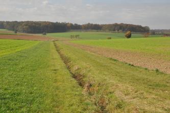 Das Bild zeigt flache, nur leicht nach links und rechts ansteigende Acker- und Grünlandflächen, die in der Mitte ein dünner Graben durchtrennt. Im Hintergrund sind Waldgebiete erkennbar.