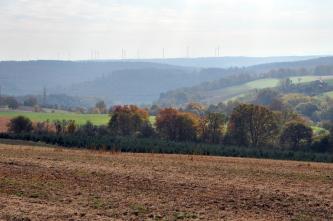 Ein zum Mittelgrund hin abfallender, rostbrauner Acker erstreckt sich im Vordergrund des Bildes. Nach einem Baumstreifen erhebt sich rechts dahinter ein teilweise bewaldeter Hang. Links sowie im Hintergrund staffeln sich bewaldete Höhen.