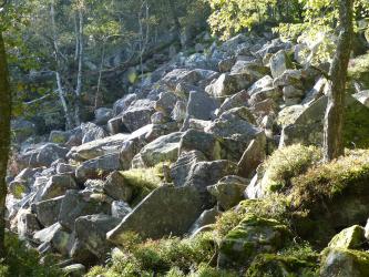 Auf einem von rechts nach links abfallenden Waldhang liegen zahlreiche größere Steinblöcke eng auf- und nebeneinander.