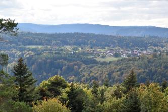 Blick aus großer Höhe über Baumwipfel auf hochliegende Wälder sowie schmale, mit Häusern bebaute Grünflächen. Im Hintergrund erheben sich bläulich gefärbte Höhen.