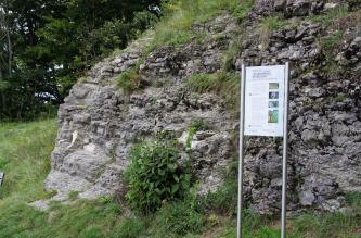 Aufschluss in der Lacunosamergel-Formation (Oberjura) an Station 22 des Geologischen Pfads Schwäbisch-Gmünd-Hohenrechberg Blick auf einen gewölbten, nach rechts ansteigenden Gesteinshügel. Das graue Gestein ist teilweise bewachsen. Rechts vorne steht eine bebilderte Hinweistafel. Links im Hintergrund ist Wald erkennbar.