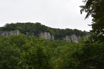 Das Bild zeigt eine Reihe von grauen Felsen am oberen Rand eines bewaldeten Bergrückens.