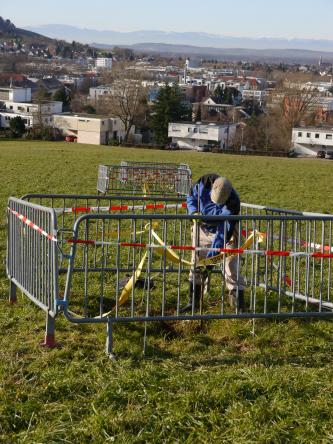 Auf einer hochgelegenen Wiese befinden sich mehrere mit Gittern eingezäunte, hintereinanderliegende Erdlöcher. Im Vordergrund untersucht eine Person ein solches Erdloch. Im Hintergrund erstreckt sich ein Wohngebiet bis zu einer fernen Bergkette.