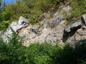Blick auf eine oben und unten bewachsene Gesteinswand. Auf dem bräunlichen Gestein sind mehrere dunkelgraue, teils lose aufliegende Blöcke eingeschaltet. Links steht weißliches Gestein vor.