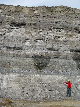 Blick auf eine hohe Steinbruchwand mit unterschiedlichen, waagrecht verlaufenden Horizonten. Rechts unten hält ein Mann mit roter Jacke und gelbem Helm einen Maßstab in die Höhe.