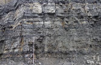 Blick auf eine mehr als 10 Meter hohe Steinbruchwand. Das graue Gestein zeigt eine Wechselfolge aus plattigen bis dünnbankigen Kalksteinen und dünnen, dunkleren Tonmergelgesteinen. Vor der Wand steht ein 5 Meter hoher Maßstab.