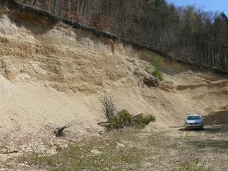 Blick auf eine hellbraune, nach rechts abfallende Abbauwand. Am Fuß der Wand liegen Schutthaufen sowie umgestürzte Bäume. Die leicht nach vorn geneigte Kante der Wand ist bewaldet.