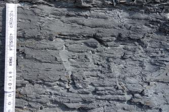 Nahaufnahme eines dunkelgrauen bis schwarzen Gesteins mit unregelmäßer, unebener Oberfläche. Am linken Bildrand befindet sich ein Maßstab, der Bildausschnitt ist etwa 15 cm hoch.