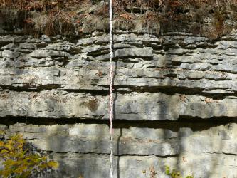 Blick auf eine Abbauwand eines stillgelegten Steinbruchs. Das anstehende Gestein ist grau und liegt im oberen Bereich in dünnen und im unteren Bereich in dickeren Bänken vor. Vor dem Aufschluss befindet sich ein Maßstab.
