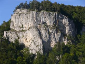 Das Bild zeigt einen mächtigen, weißlich grauen Felsen. Das Gestein verläuft wellig, ist abgestuft und auf der Kuppe, am Fuß sowie seitlich von Wald umgeben. 