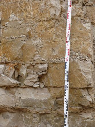Detailaufnahme einer Abbauwand eines Kalksteinbruchs. Das Gestein ist hellbeige und dickbankig. Vor der Wand befindet sich rechts ein Maßstab.